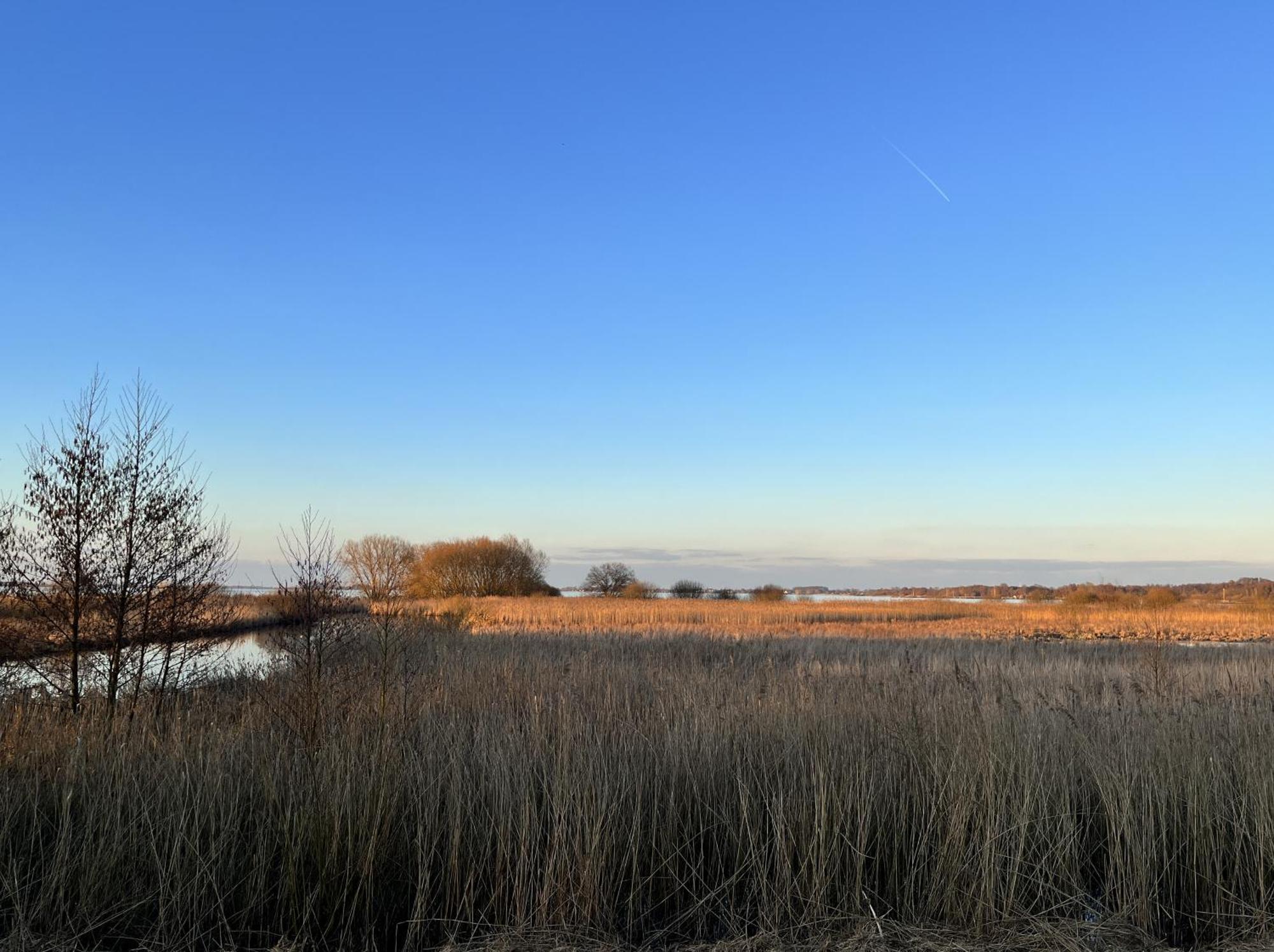 Hueder Hof Am Duemmer See Aparthotel Bilik gambar